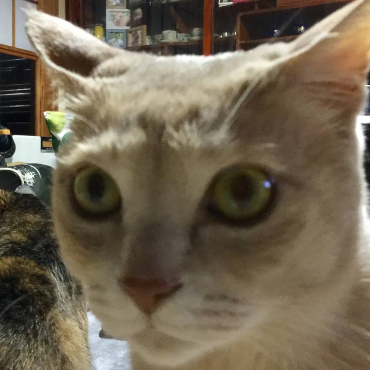 D7417c77 ca88 498e bbe9 56a881952501 1527246738267