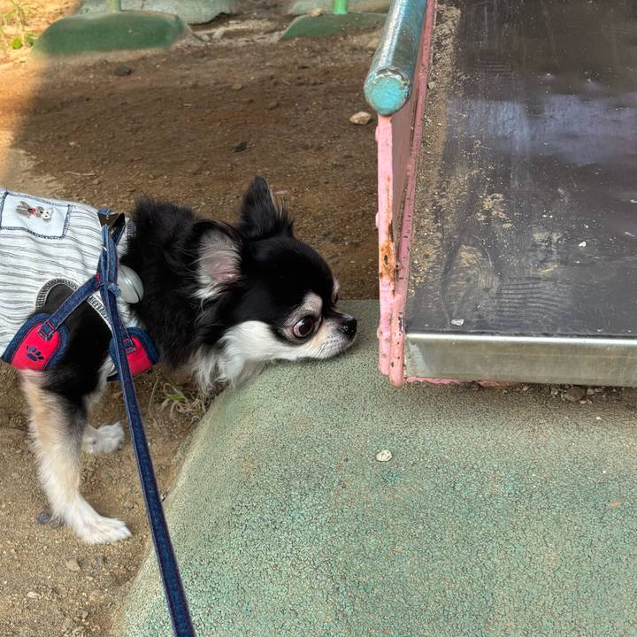 D74181f8 9886 4e44 9a8b 04f3ef18eeb1 1725811551664