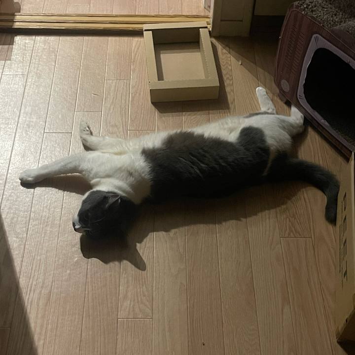 D741b10f c34b 4c2a 8687 904f00ae59f3 1752167142550