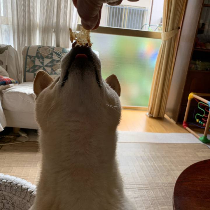 D741b246 00f4 469b 895c 279bfe0e57fe 1649127104328