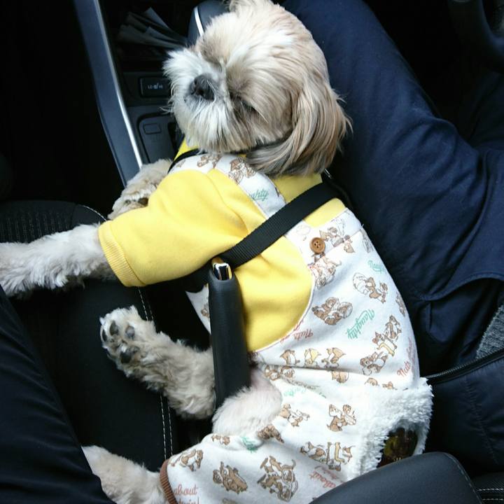 D741bf1e 7e58 4695 8977 f909aedf9645 1547965312007