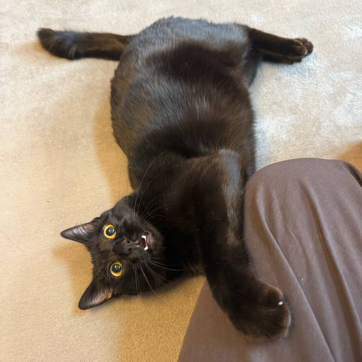 D7420029 0d96 4dd1 8beb ef4d232ef2b0 1774303554113