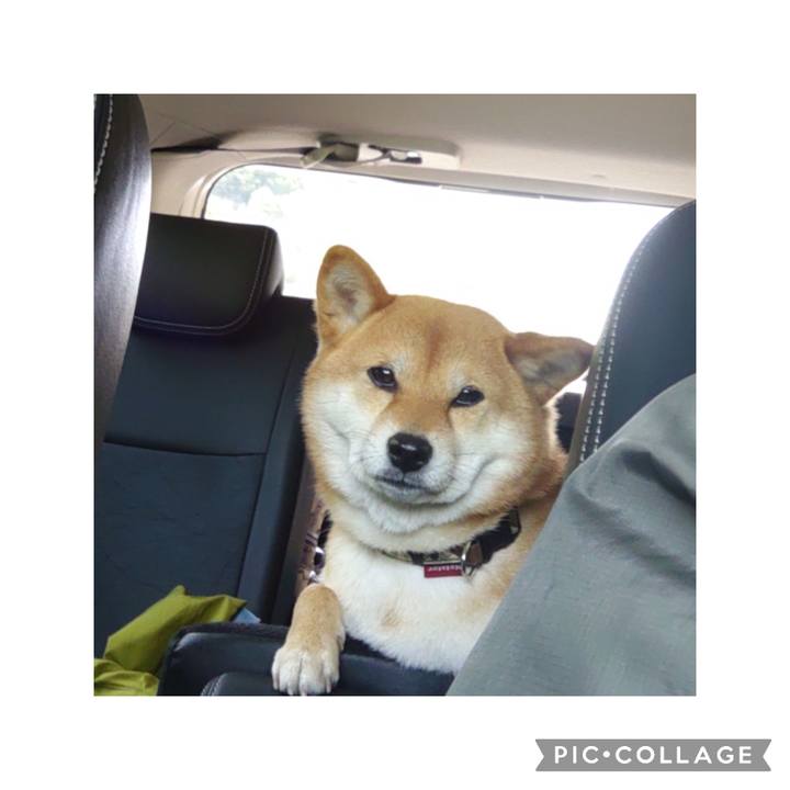 D742029b 346d 468a 977a 76af225cec2c 1683014634137