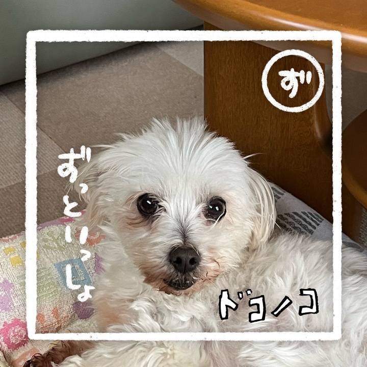 D7425f55 89d8 4291 aa04 c0f814dc8f4c 1685934947776