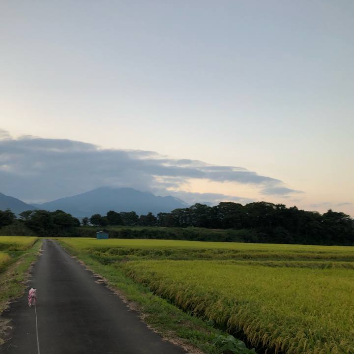 D742afea 6caa 40f9 bd57 5f4206e52ac6 1568547351736