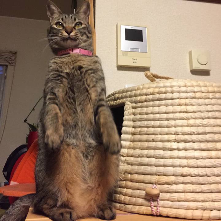 D742ccee 323f 47b6 bc46 a81bae172ad7 1524139941390