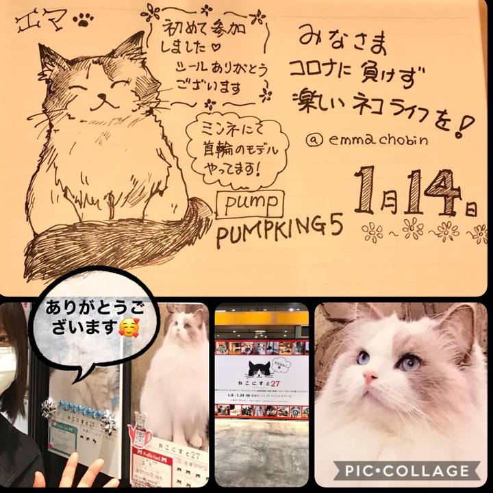 D742e13b ad06 4922 aca2 eadb7b5a6aaa 1610609324999