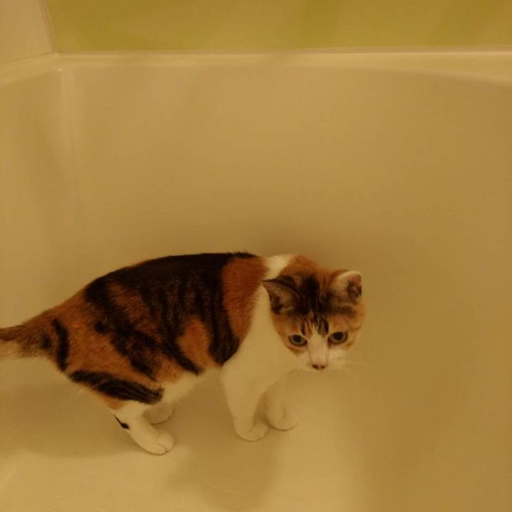 D742e5d1 1475 4959 b377 3c4ce087579b 1626057073977