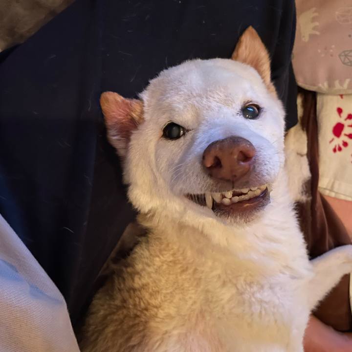 D742f210 ba8f 4456 a0f1 2e4d39d2aef3 1679393106996