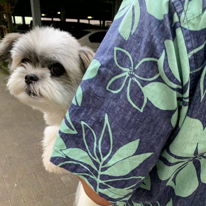 D74333cb 6e12 4eed bf22 33ae745372d3 1594701640309