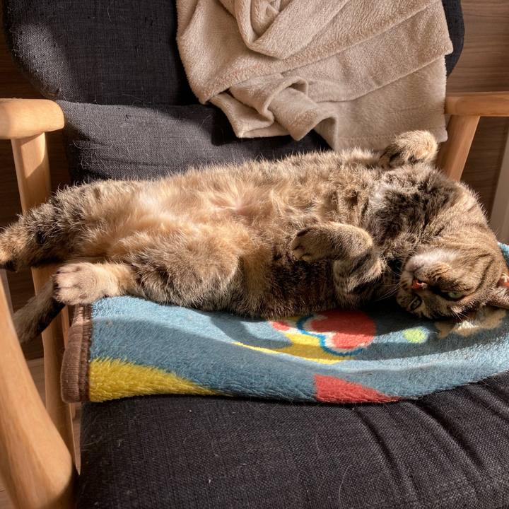 D74334f8 0eec 4815 b671 2460aa4cba6e 1712015514333