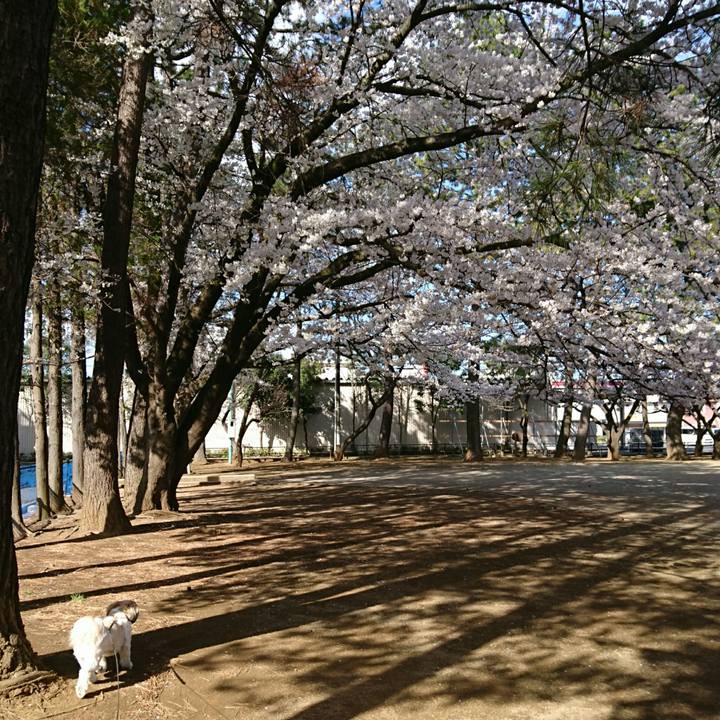 D74368ae cef2 45ac bce2 2051fa95da4d 1554077968036