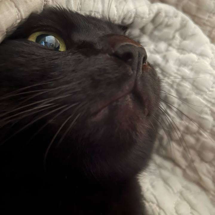 D743838a 19f7 4506 bdec 3492fc62d730 1678607366752