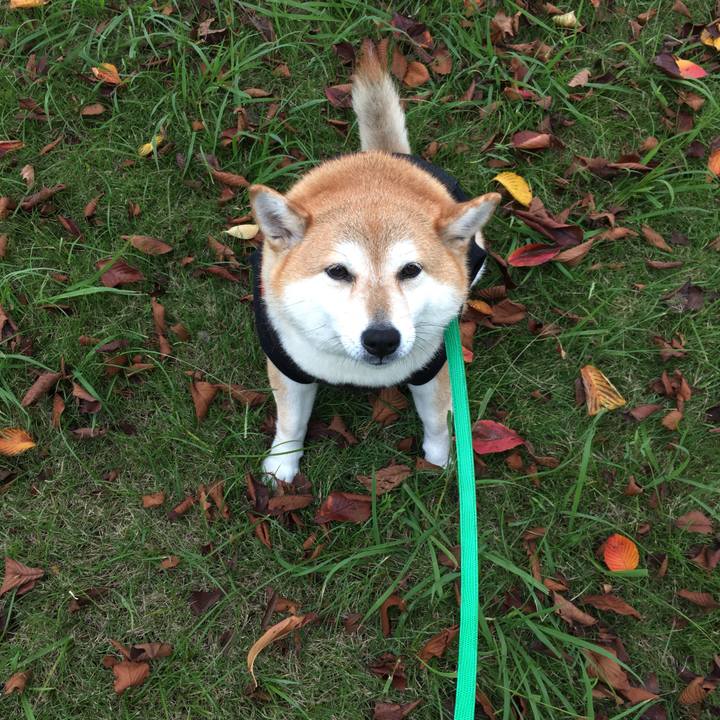 D74396b9 28e7 4fdf a618 97ae5432b5d1 1603078119151