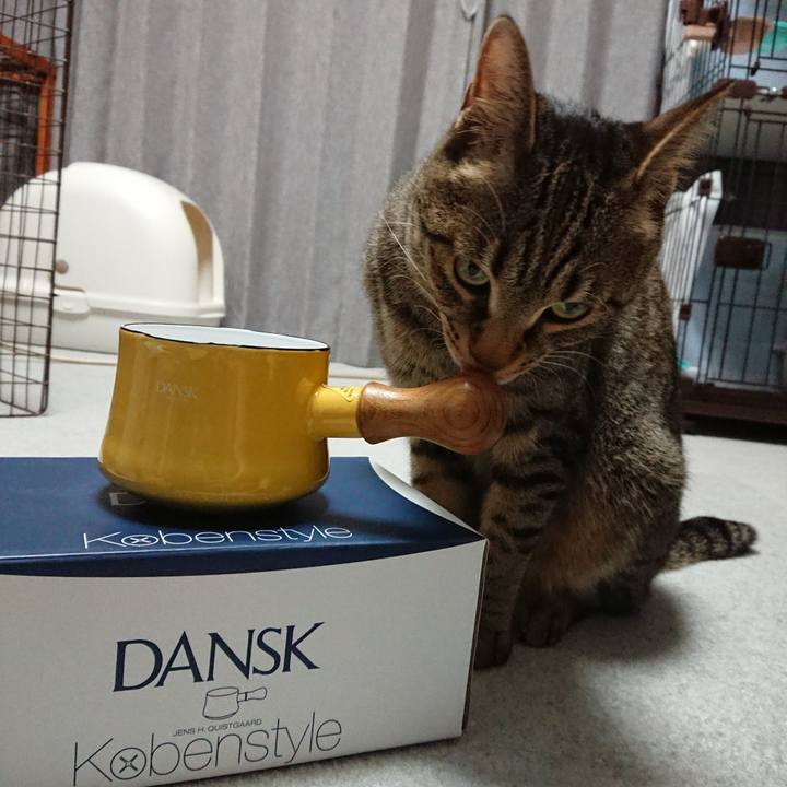 D743c3a0 456e 4865 9e57 e8abee605286 1554509973915