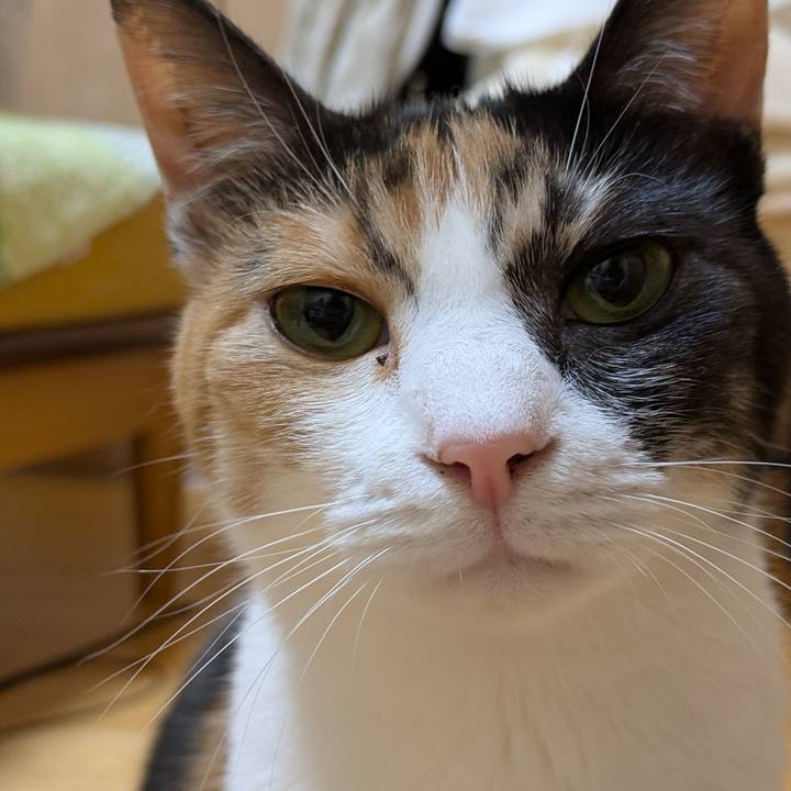 D743c7ce a812 402d 9270 fcf7ad914cf4 1762514580141