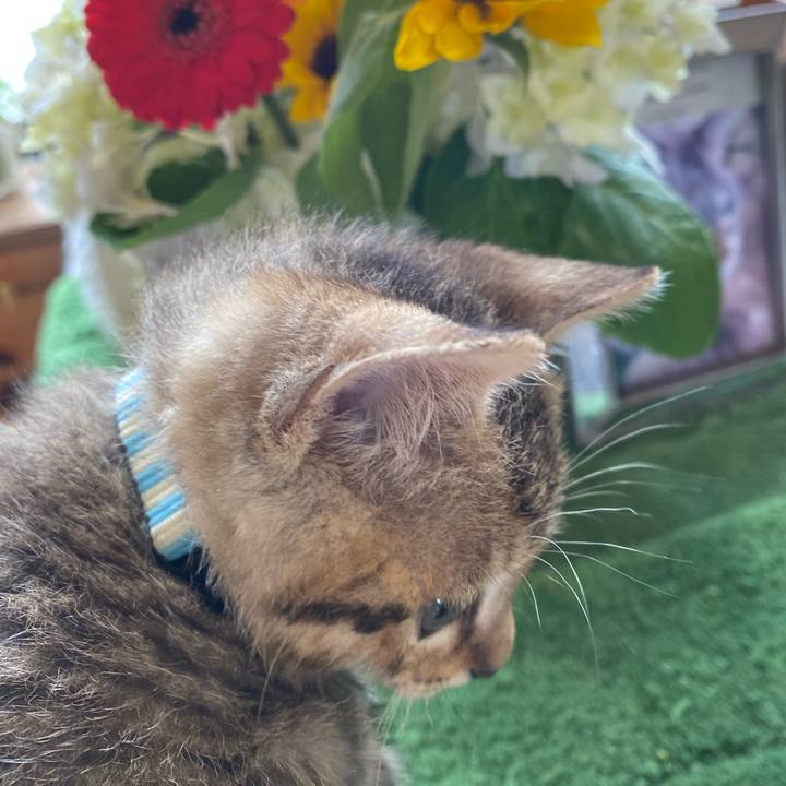 D743df3d cd88 4d6c b09f ffb25fb95792 1622003959450