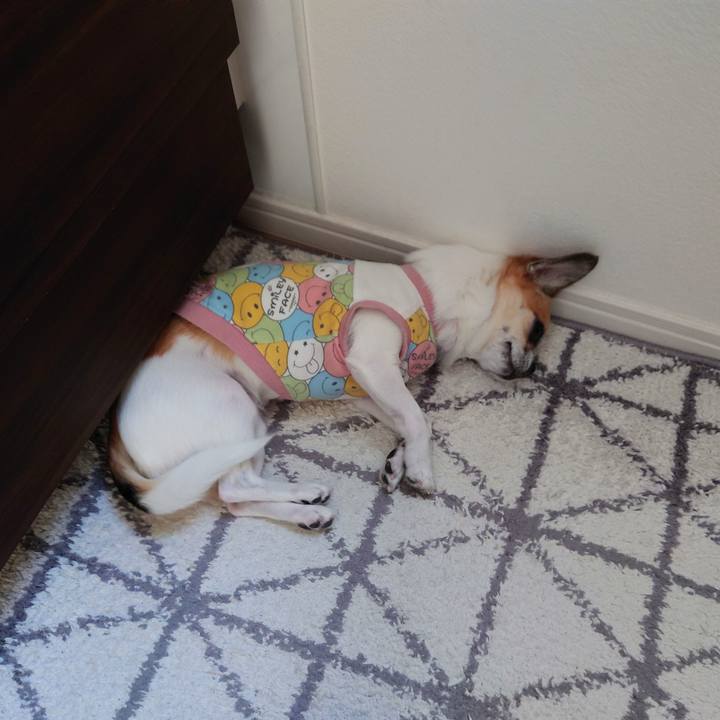 D7440aea 8c65 4f24 a8e0 e8775bc678ca 1696589626888