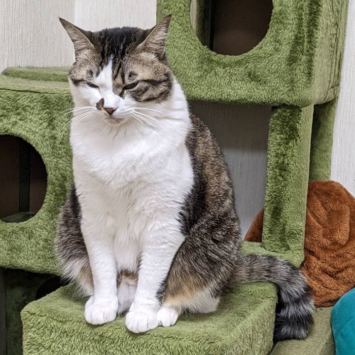 D7440da7 34b3 4286 9b45 32399f23d16c 1673090246744