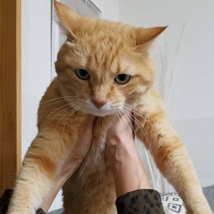 D744150d 45d4 474b 8a70 9314f3323feb 1602294182016