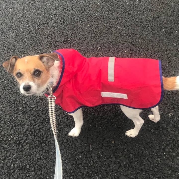 D744169d 78d2 42a1 a01f 11a83fb2a681 1508100375633