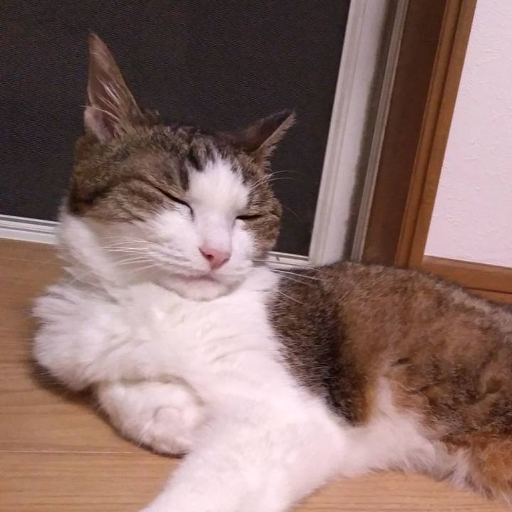 D7442e36 a5ed 466a a048 a6bb6ac72193 1535031495915