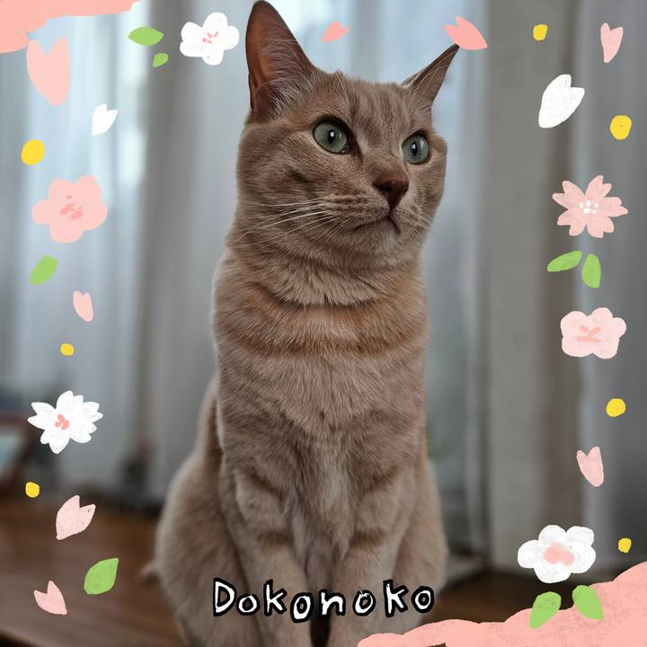 D74470cb 97f0 49d2 aaa7 40c66c326aef 1711021160645