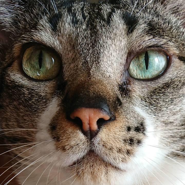 D7447117 50c8 4c48 ba02 cd9ae013b514 1529116020407