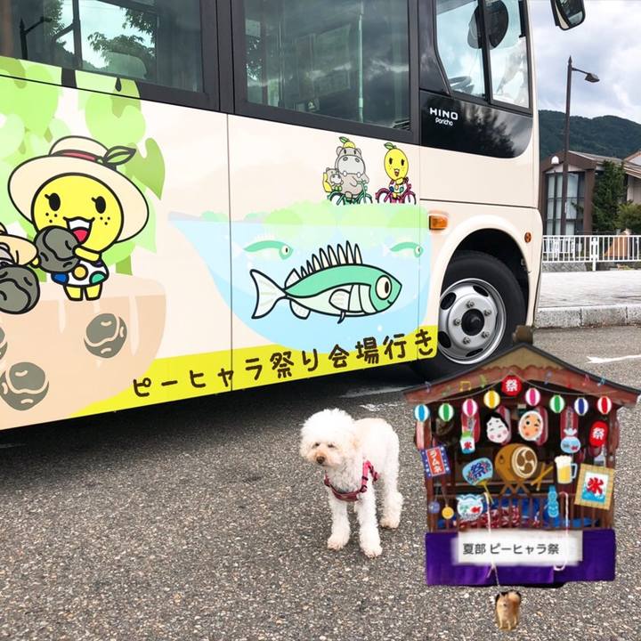 D744783f b577 4923 b413 149583dbe2de 1565907463379