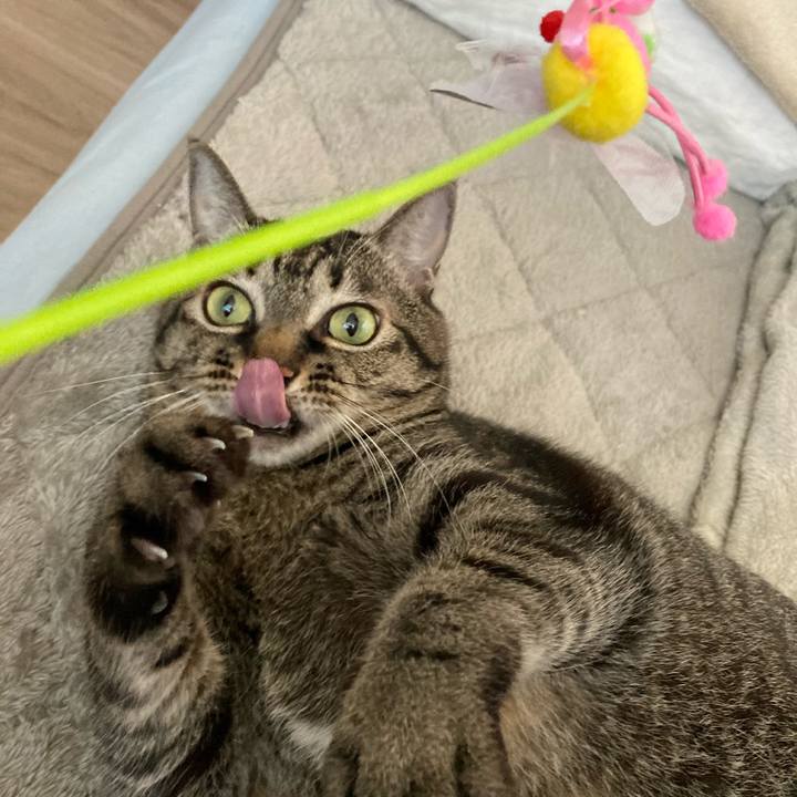 D7447849 f89d 465f b23d 31d87255101e 1636161982756