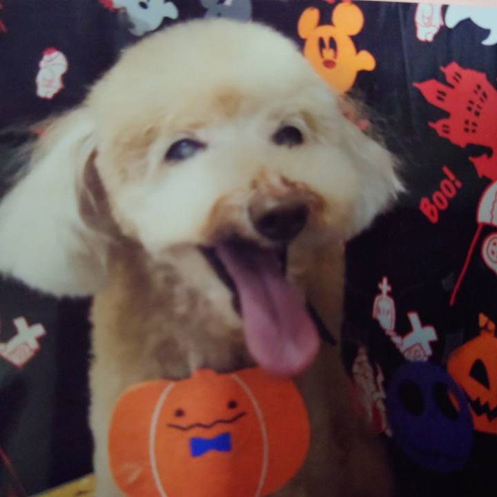 D7447da6 90b9 47ea 862e 8a31d7f54bea 1697953298407