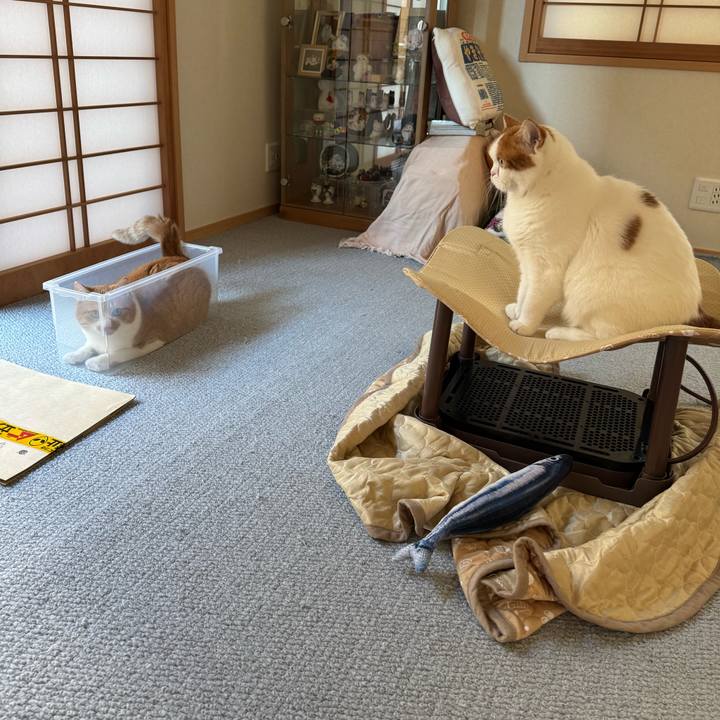 D7448c49 75c8 4912 81aa c79e46a04303 1768005805409