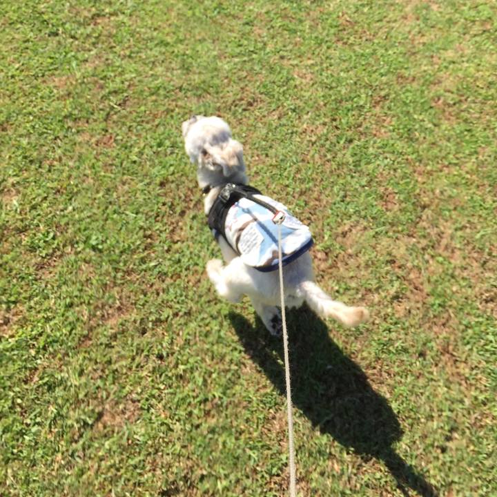 D744a687 69d3 4b2c bac3 ff4a55808d63 1538118801456