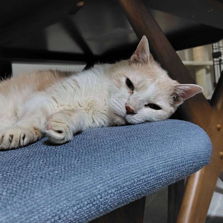 D744b4e5 0725 4d0d 8f69 a35101776f0a 1751449218195