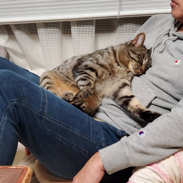 D744de8c 50bb 4b82 862c a01044528940 1702809731532