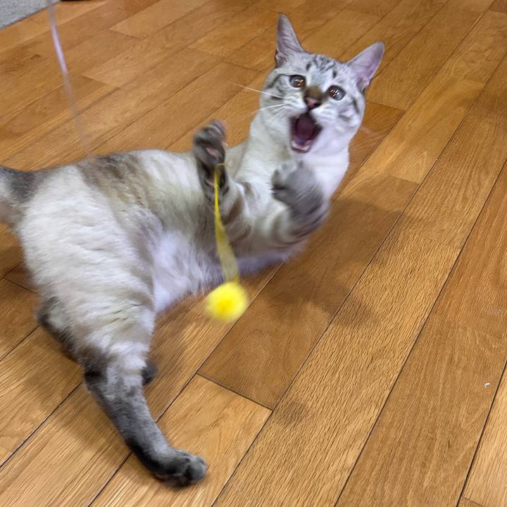 D744fec9 b5c9 4ce8 9f9a eb354aa54aa4 1754745327290