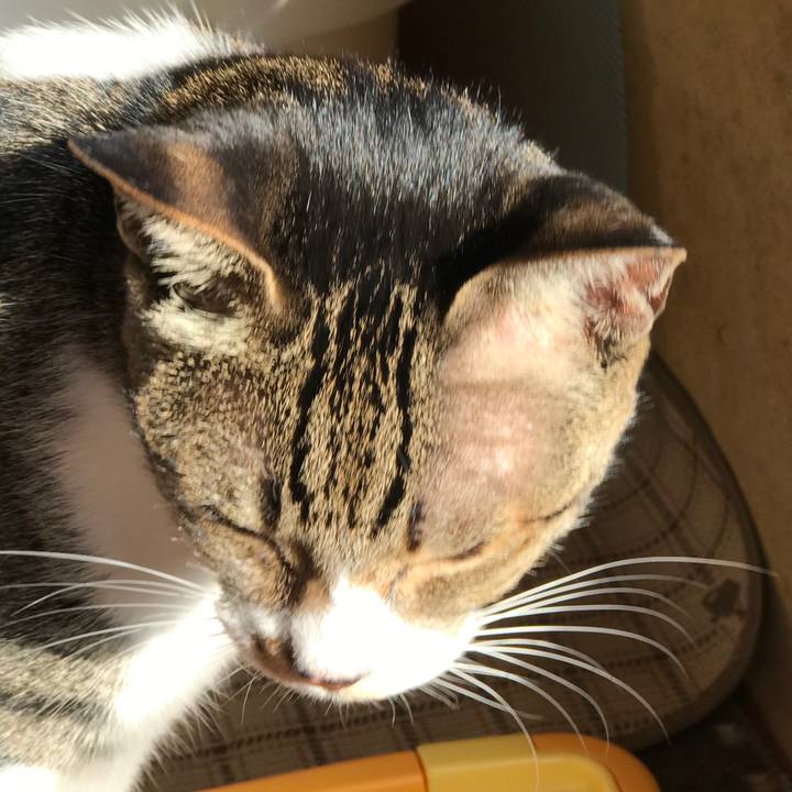 D7450e0d c028 4671 8d57 99ee77d6cc89 1510015954162