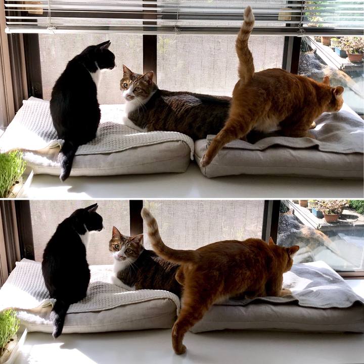 D74528da c6f9 4b19 bd85 5752a3395ba2 1522747934203