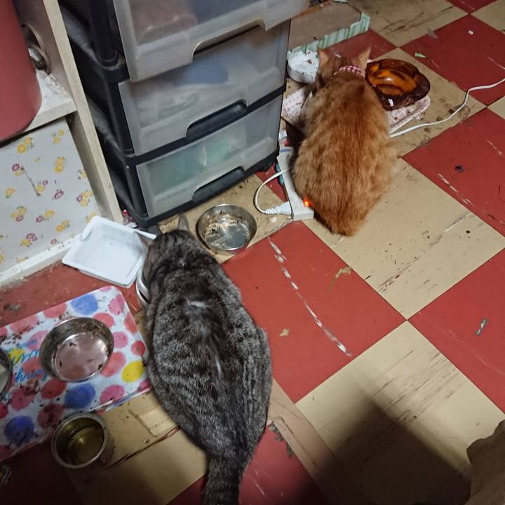 D74543b5 471a 4ade 88fd d734d5c67a32 1560196134406