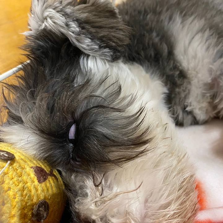 D7457408 5036 479a a5e0 34d5d8118558 1573922465895