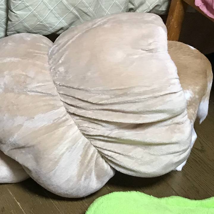 D7457afc a204 407c b1aa daf1a5c33d13 1518862531542