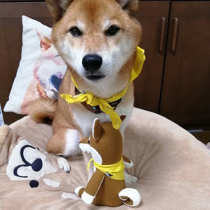 D74589a9 2afc 471d a4c1 a3256b260855 1630463934241