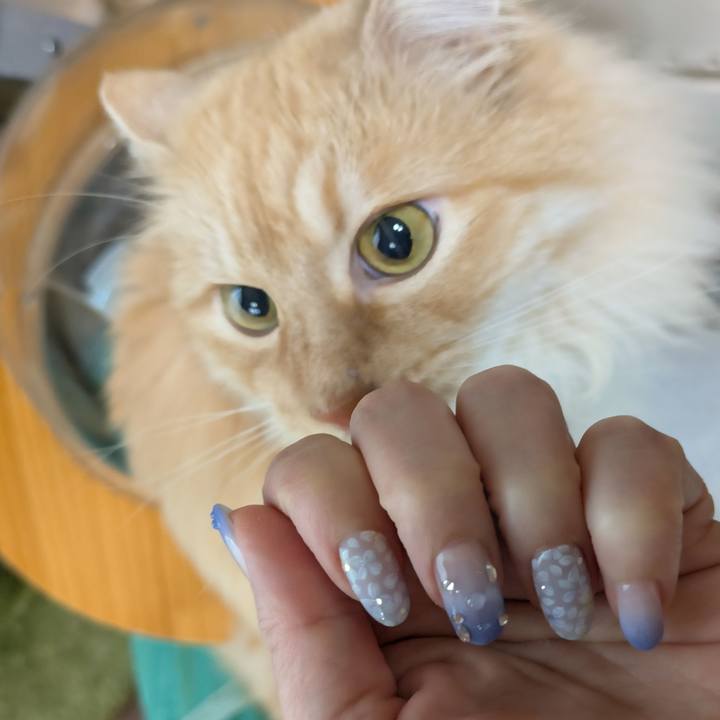 D745afbe 48b7 4fb2 8dee 4fbab9de82f6 1746353536316