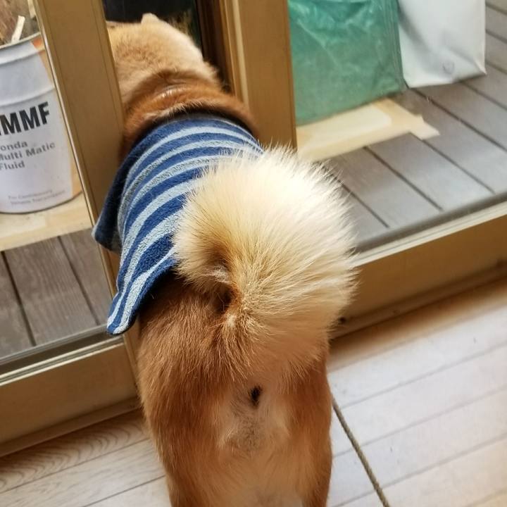 D745ce52 d6c8 4fde 98f3 46b293fb5885 1513910973034