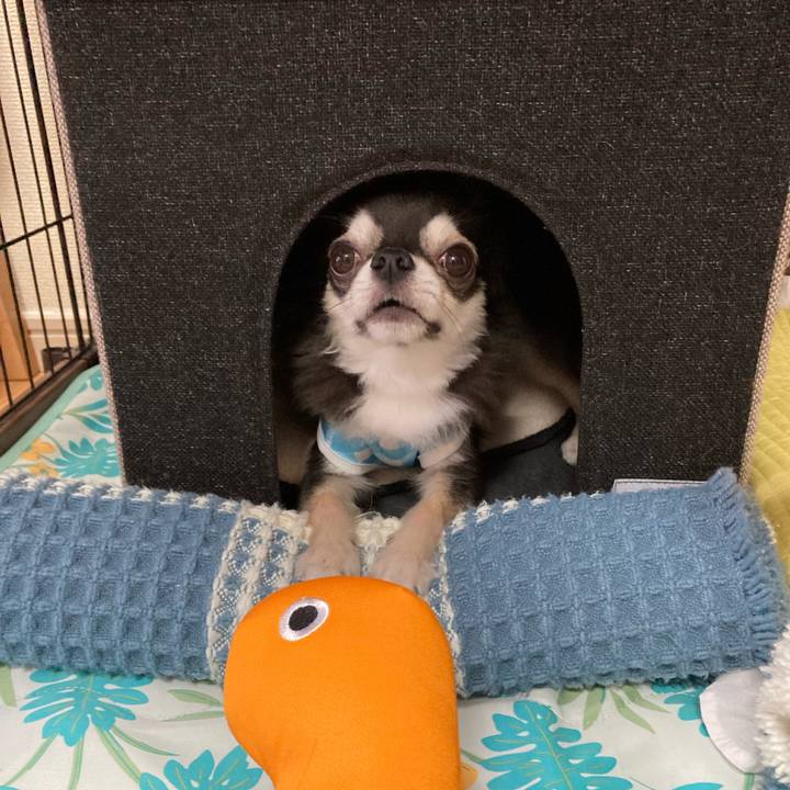 D745e371 f9bf 49d3 b9a7 6d3887ff6a2d 1686496416835