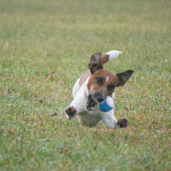 D745eb27 2eb6 4abf 9542 587d73b9356e 1539818465727