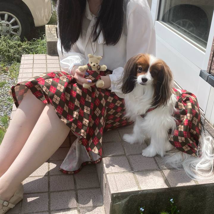 D745fdf2 19ef 438b 8fb7 b6c447db7bd2 1652578907654