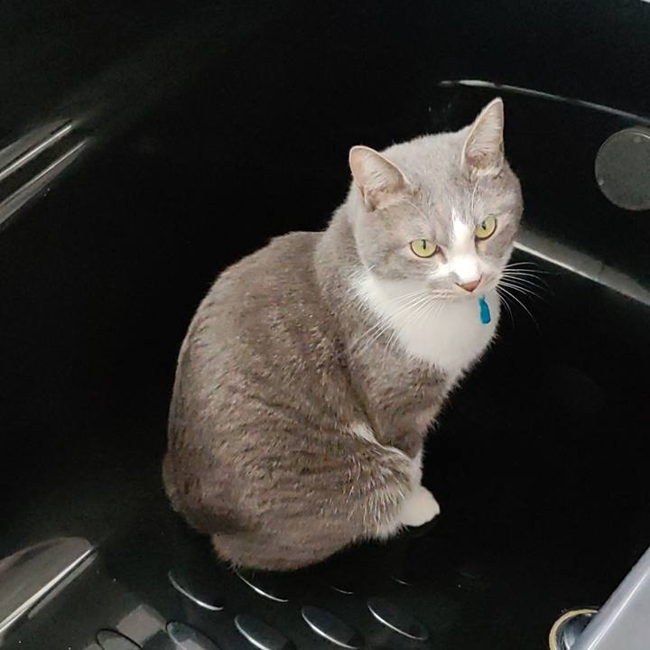 D74622d7 f626 47ca 9f7d 66d55b097533 1675760808958