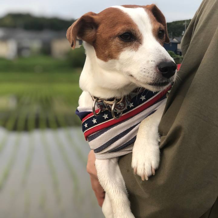 D746529f 54f7 4d04 84df 5379001bba35 1686210326014