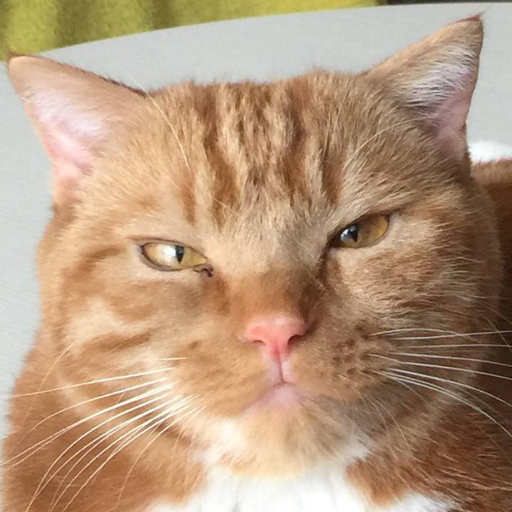 D746696e d72b 4b97 86ba 22a3a99896c4 1527899875445